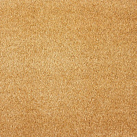 Ковролин AW Scent 54 фото 1 | FLOORDEALER